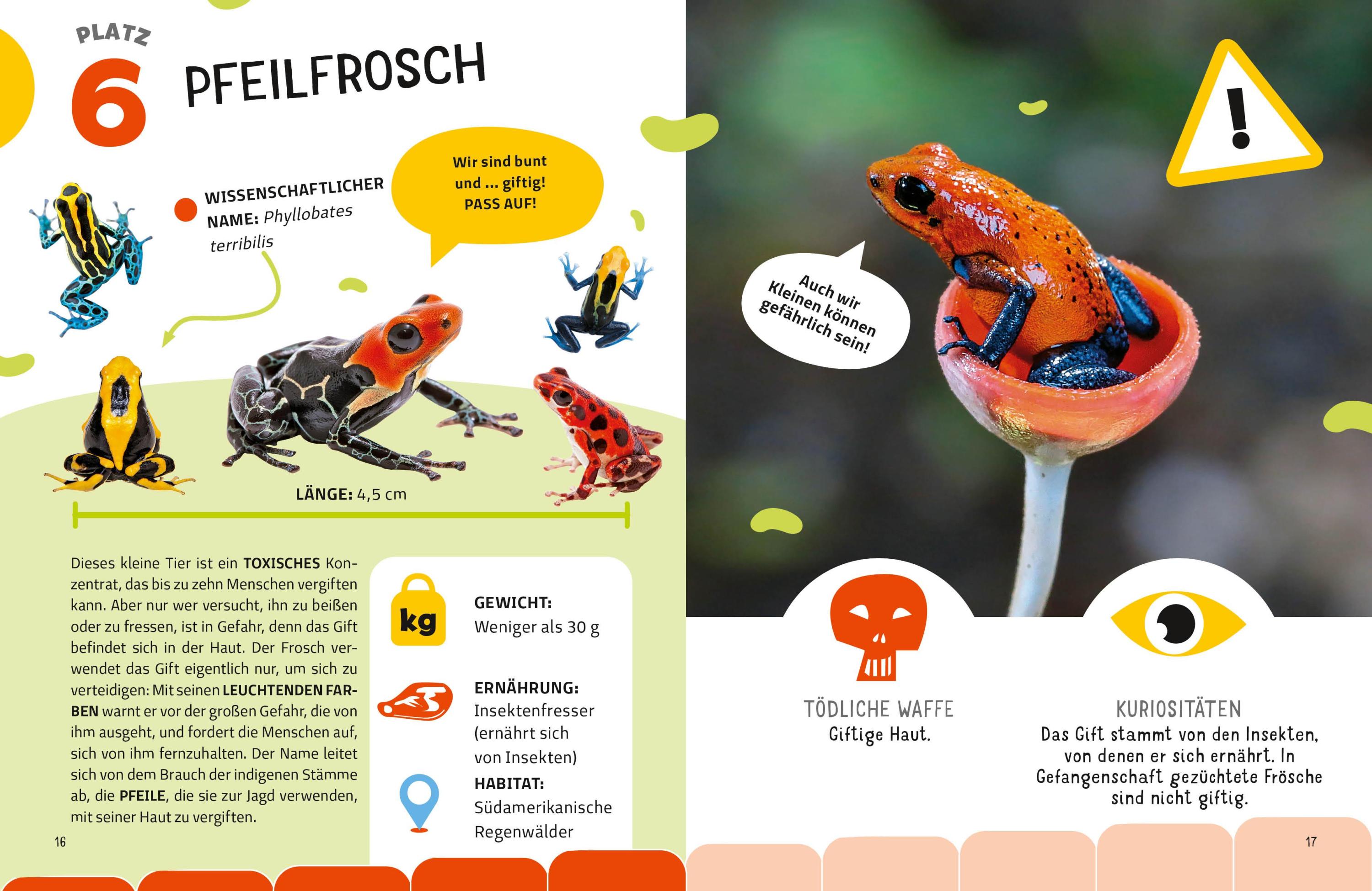 Die tödlichsten Tiere. Ein aufregendes Count-Down der gefährlichsten Tiere (Top Ten)