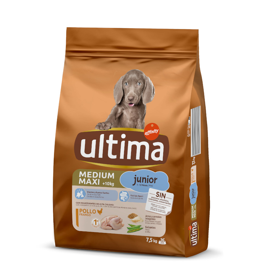 Ração para cães Affinity Ultima Medium / Maxi Junior