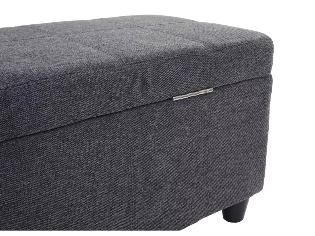 Coffre de rangement Kriens, gris foncé