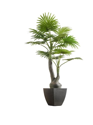 casaNOVA Kunstblume MINIFARN Höhe 70 cm