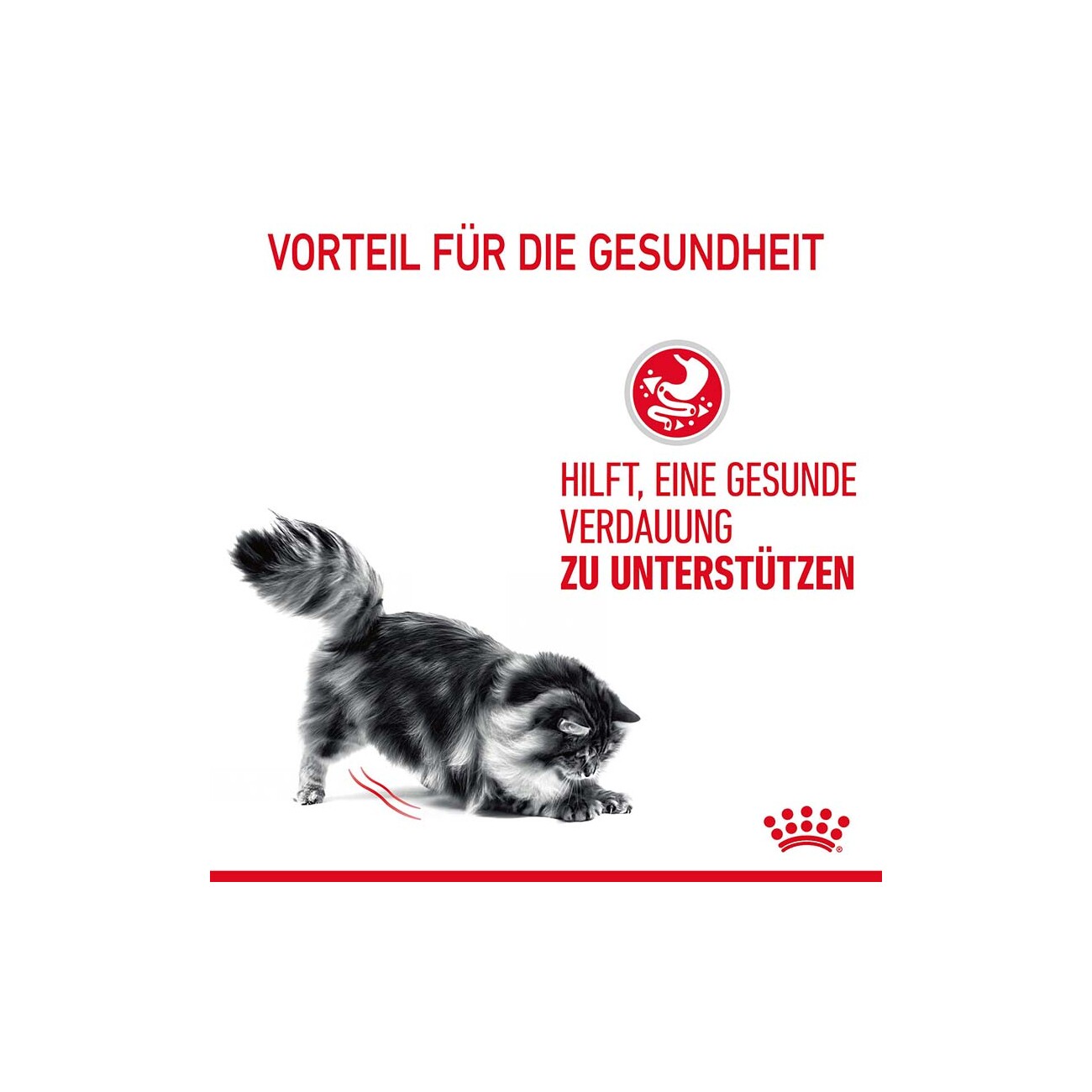 ROYAL CANIN Care Digest Sensitive in Soße 12x85 g
