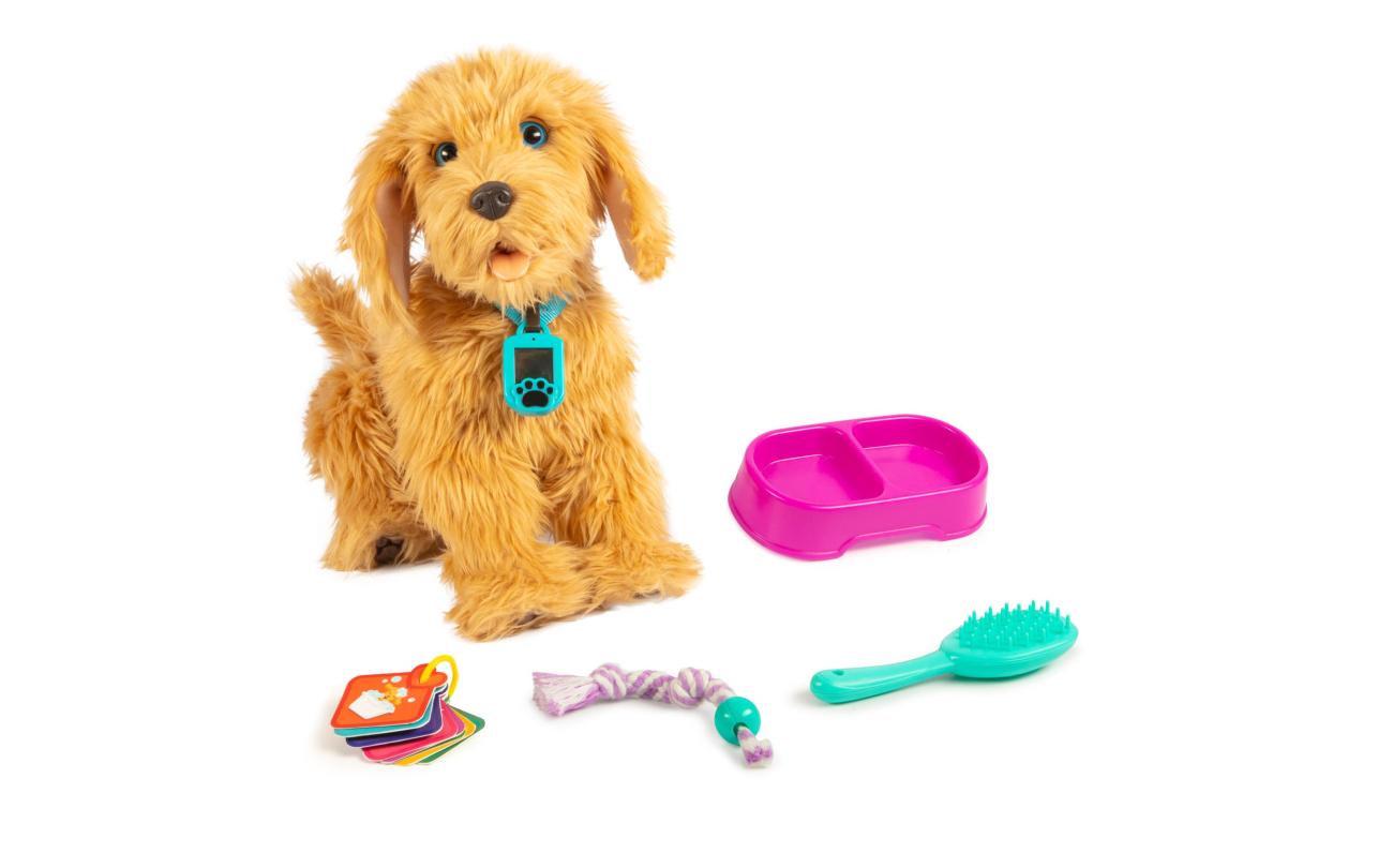 Moji mijn lieve labradoodle