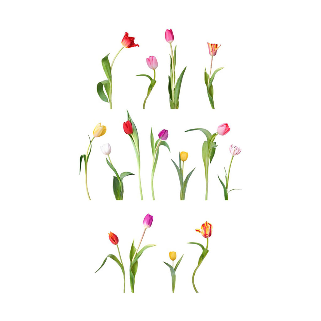 Sticker adhésif mural tulipes 70x20cm