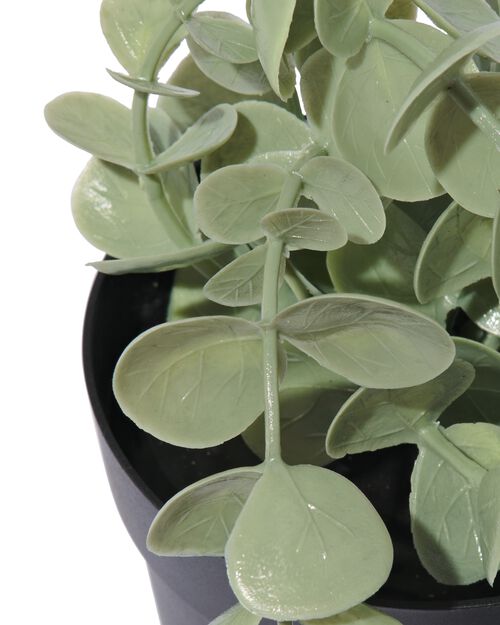 plante artificielle eucalyptus