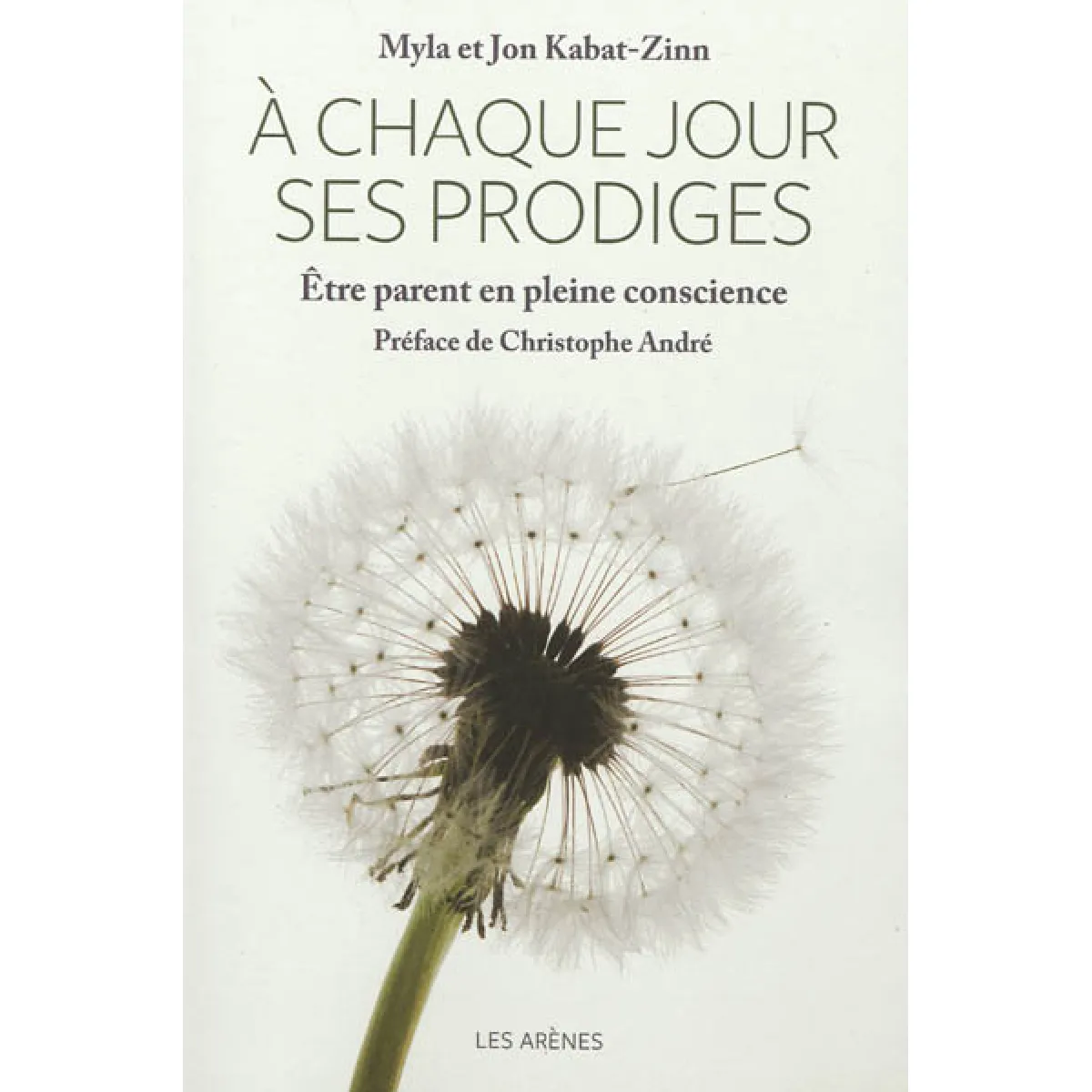 A chaque jour ses prodiges : être parent en pleine conscience · Occasion