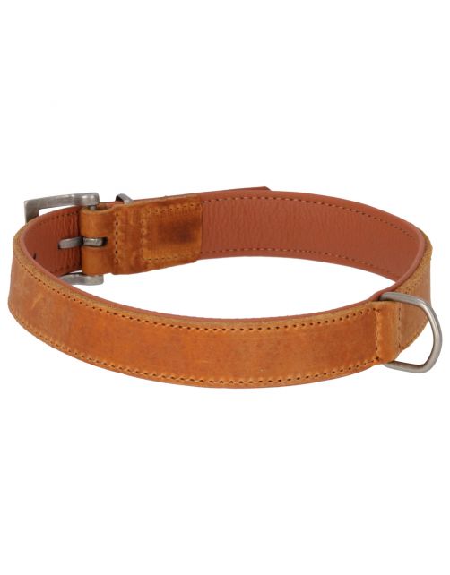 Adori Halsband Vetleder Gevoerd Cognac&Cognac - Hondenhalsband