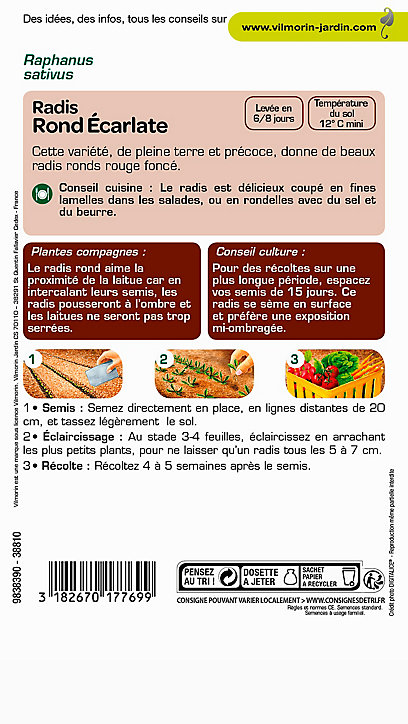 Graines de Radis Rond Ecarlate