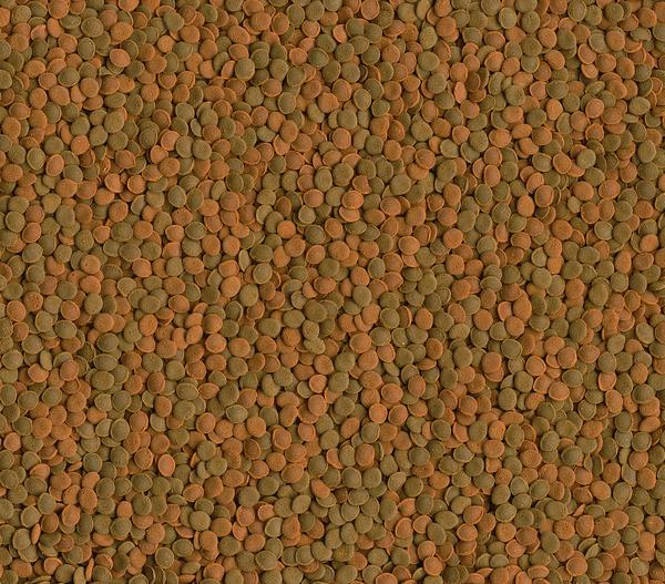 Tetra Fischfutter Wafer MiniMix, 100 ml