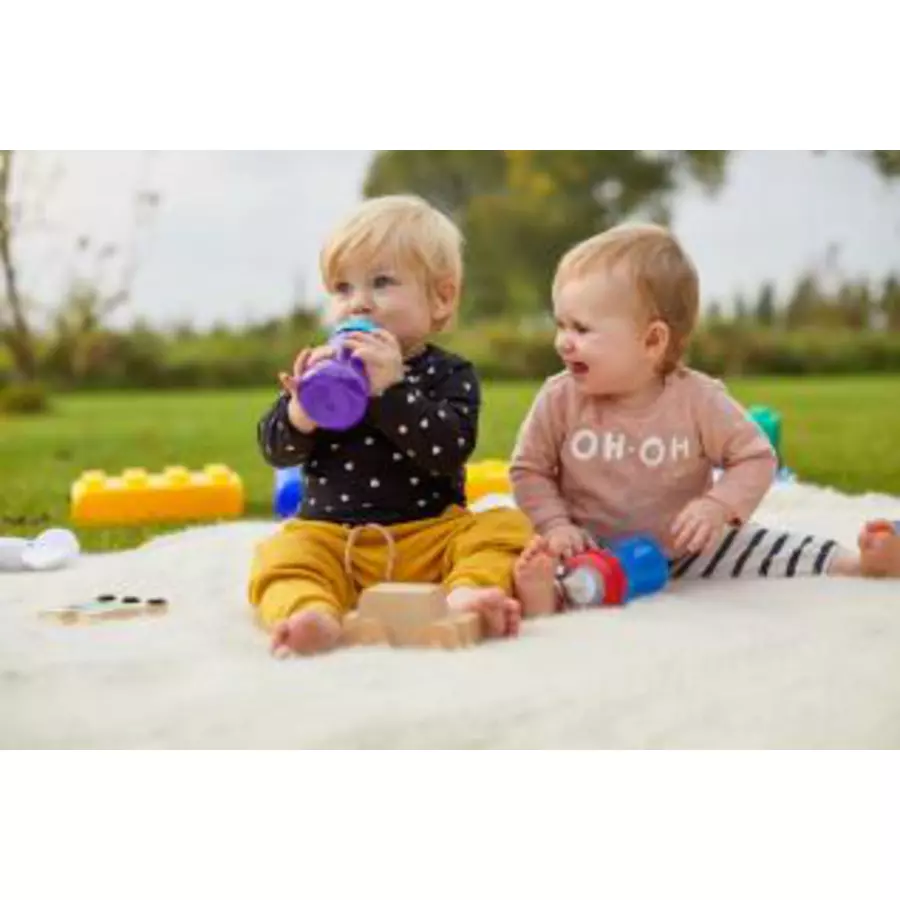 Philips Avent Schnabelbecher SCF80202 300 ml lilablau ab dem 9. Monat