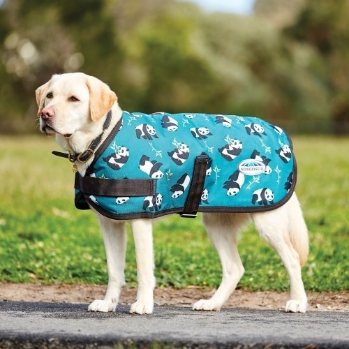 Casaco estilo parka para cães, estampa de panda