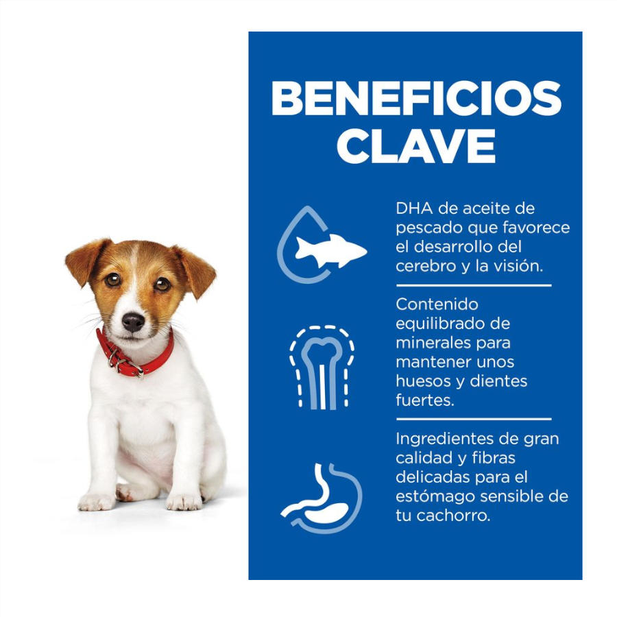 Hill's Science Plan Puppy Small & Mini Lamb and Rice para Cães