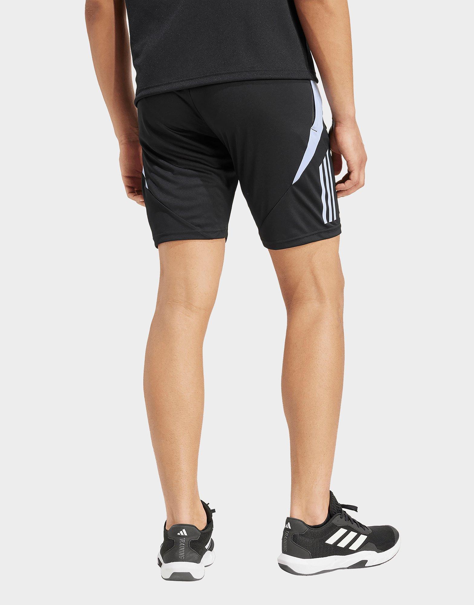 adidas Short de rugby All Blacks