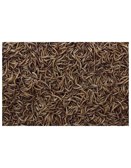 Esve Meelwormen In Emmer - Voer - 1 kg
