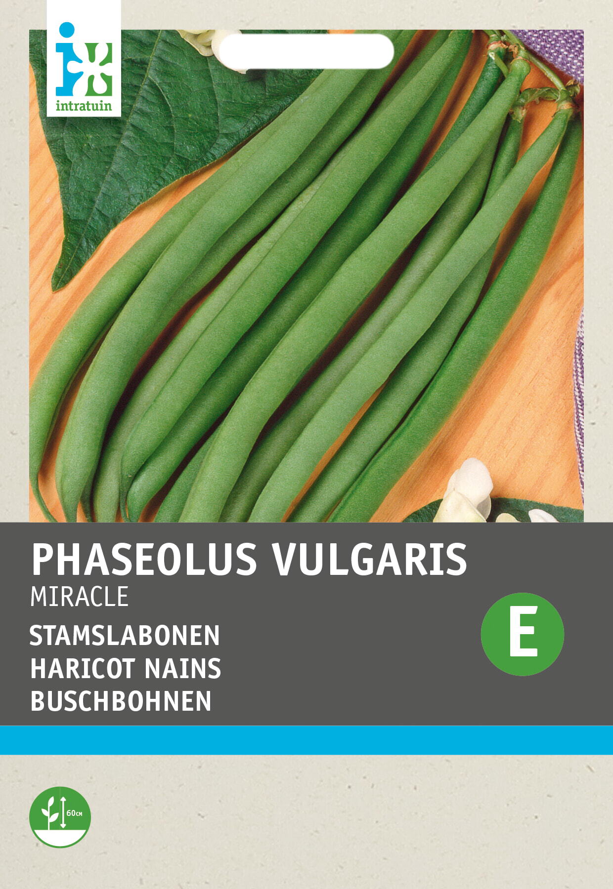 Intratuin groentezaad Chinese boon (Phaseolus vulgaris 'Miracle')
