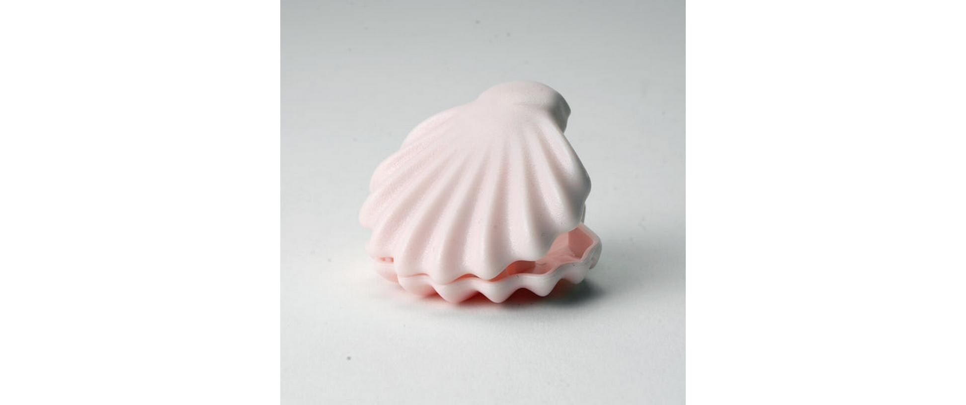 Verschlussclip Muscheln 4 Stück, MehrfarbigMuschelclips für luftdichten Genuss