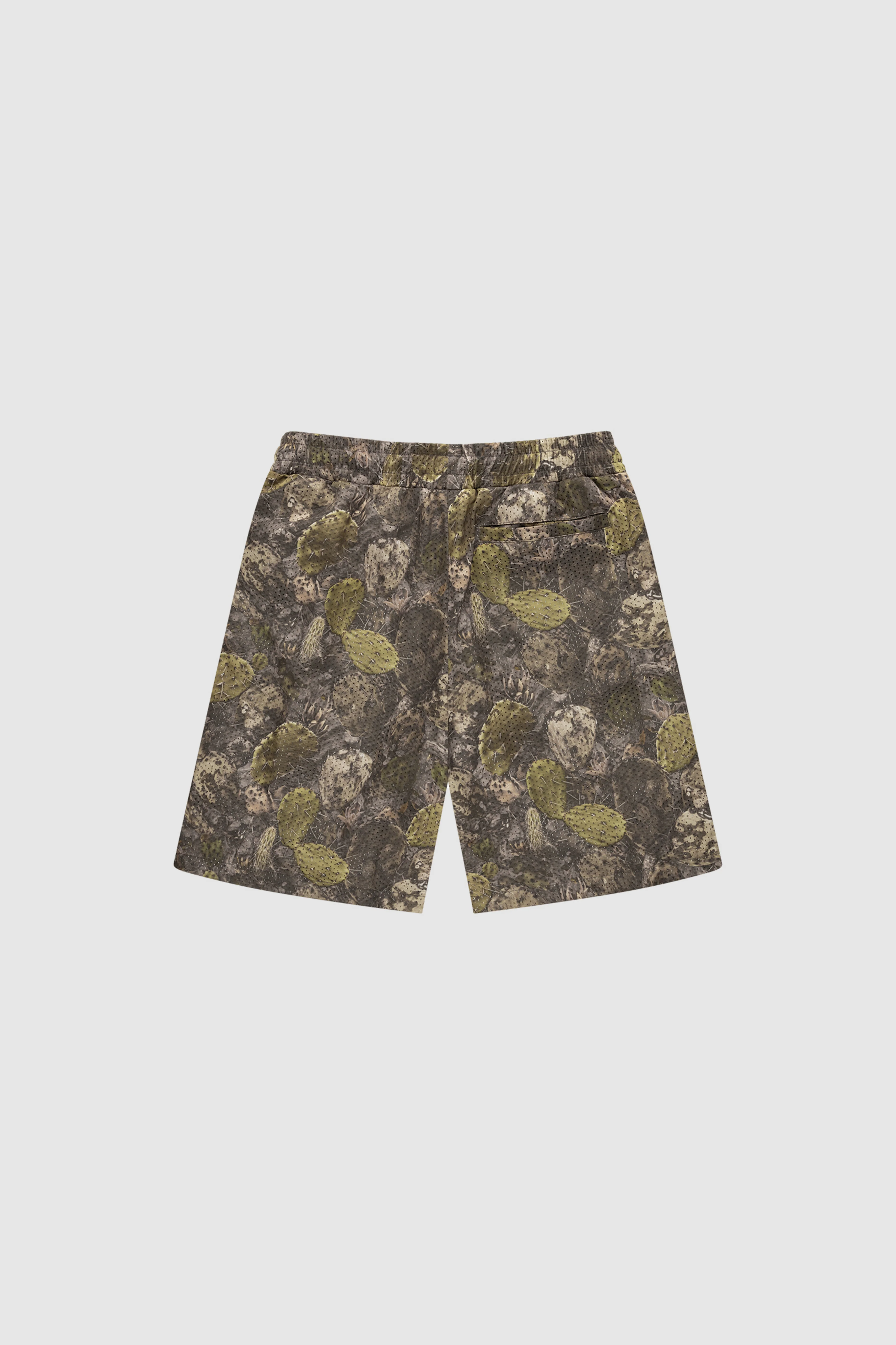 Cactus Star Mesh Shorts