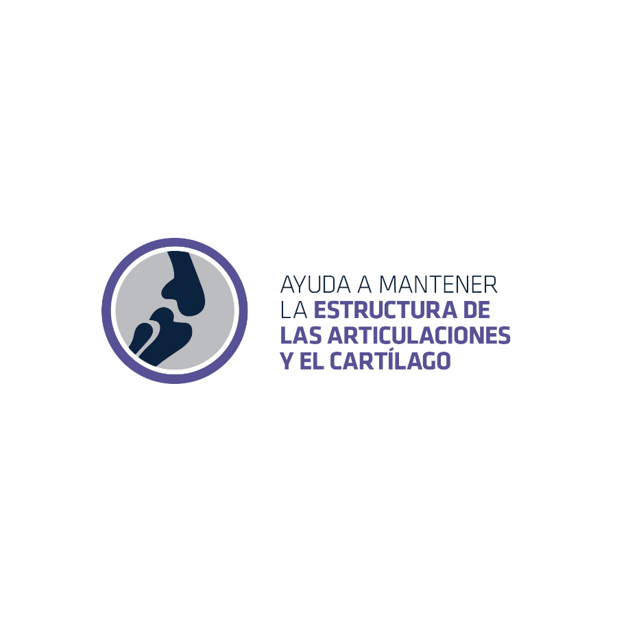 Advance Palitos Articular Forte para perros