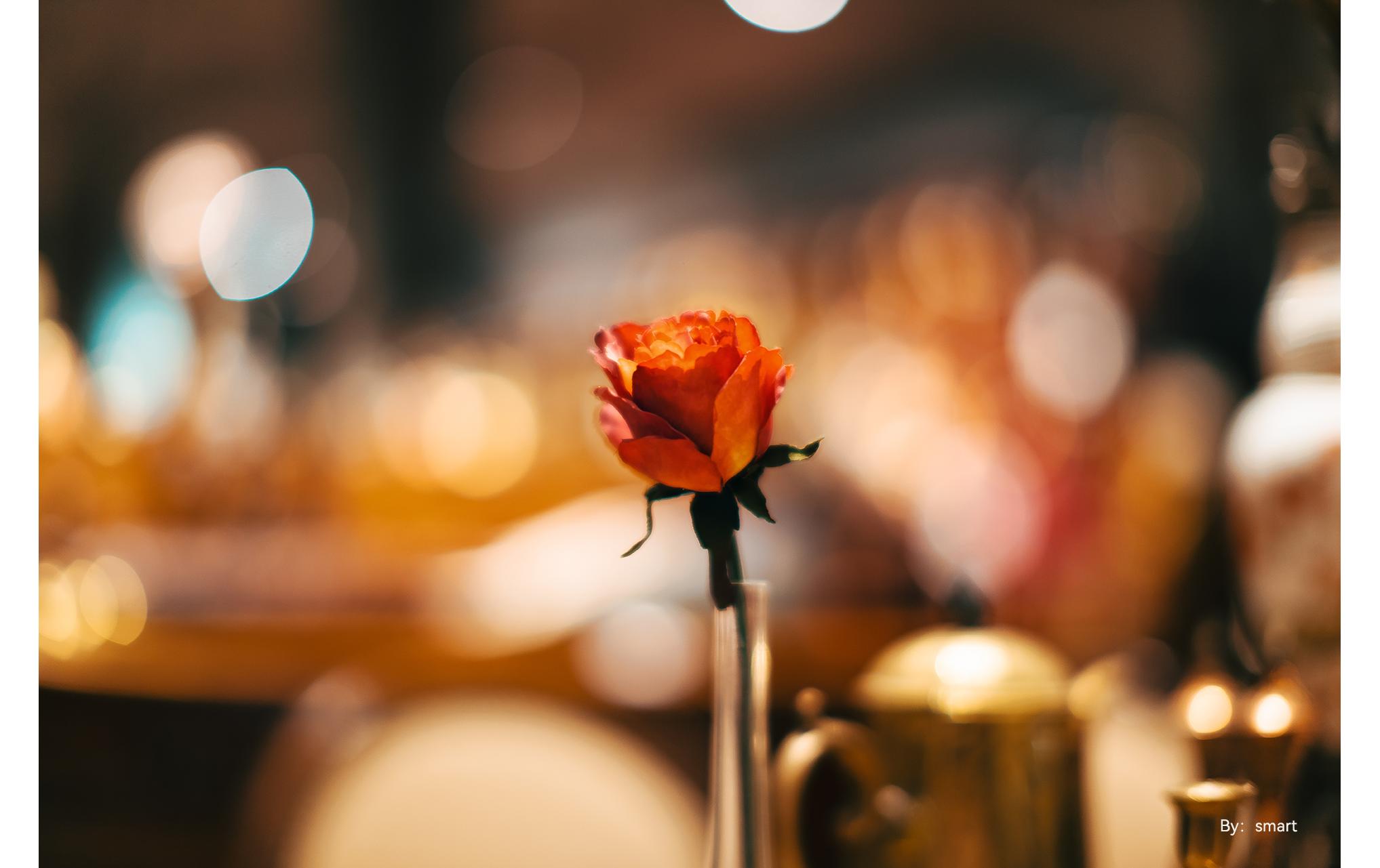 Festbrennweite APS-C 50mm F0.95 – Sony E-Mount<br>Festbrennweite mit traumhaftem Bokeh