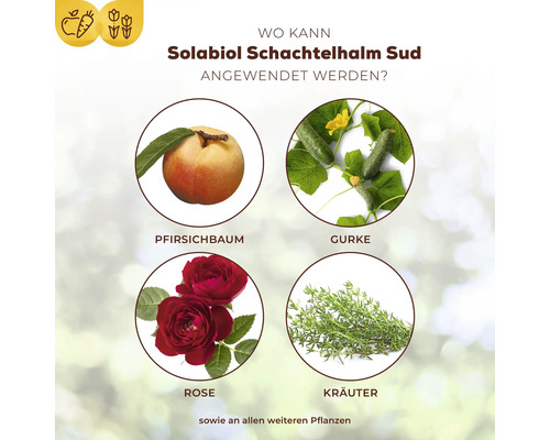 Plantenversterkende paardenstaartafkooksel Solabiol 1 L puur plantaardige ingrediënten