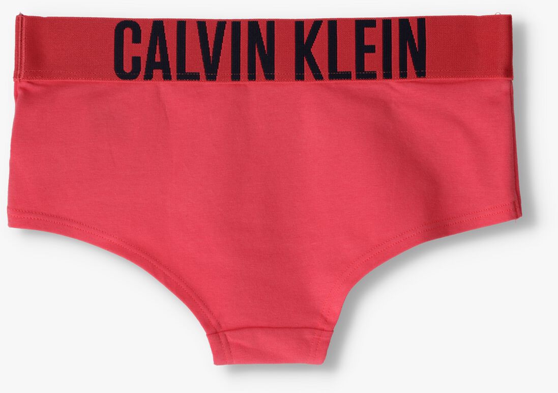 CALVIN KLEIN UNDERWEAR multi calvin klein underwear  2pk shorty