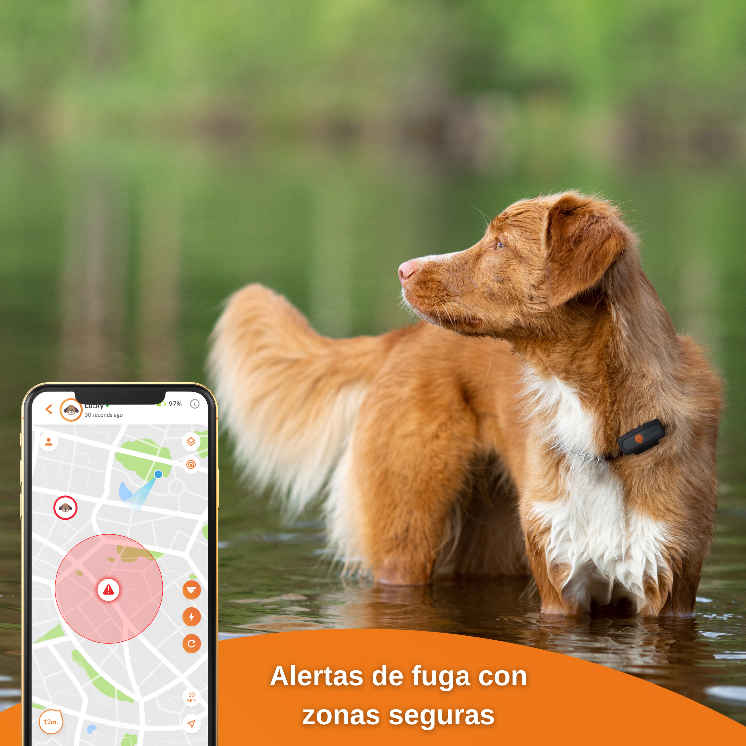 Weenect XS - GPS para cães (Preto)