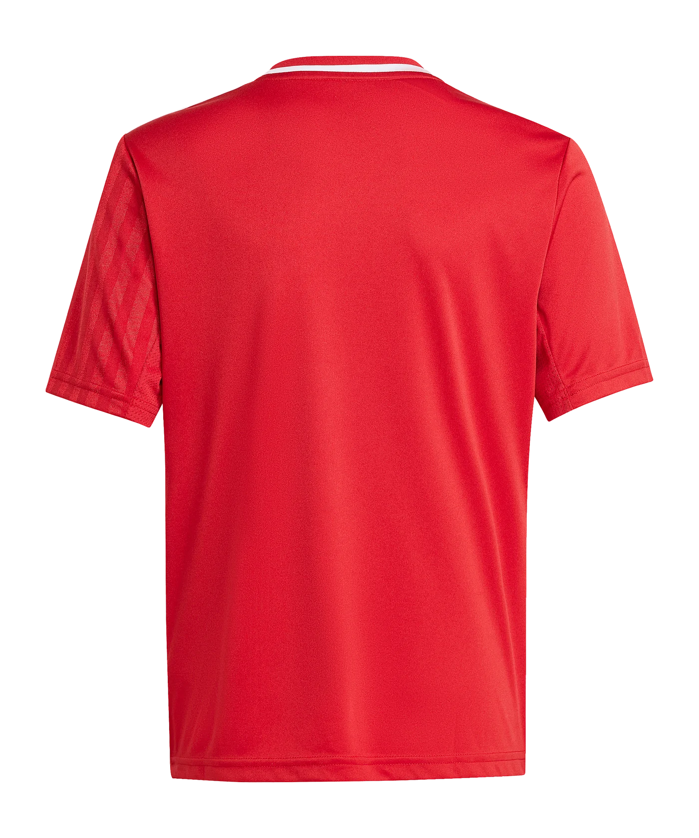 adidas Campeon 25 Trikot Kids Rot