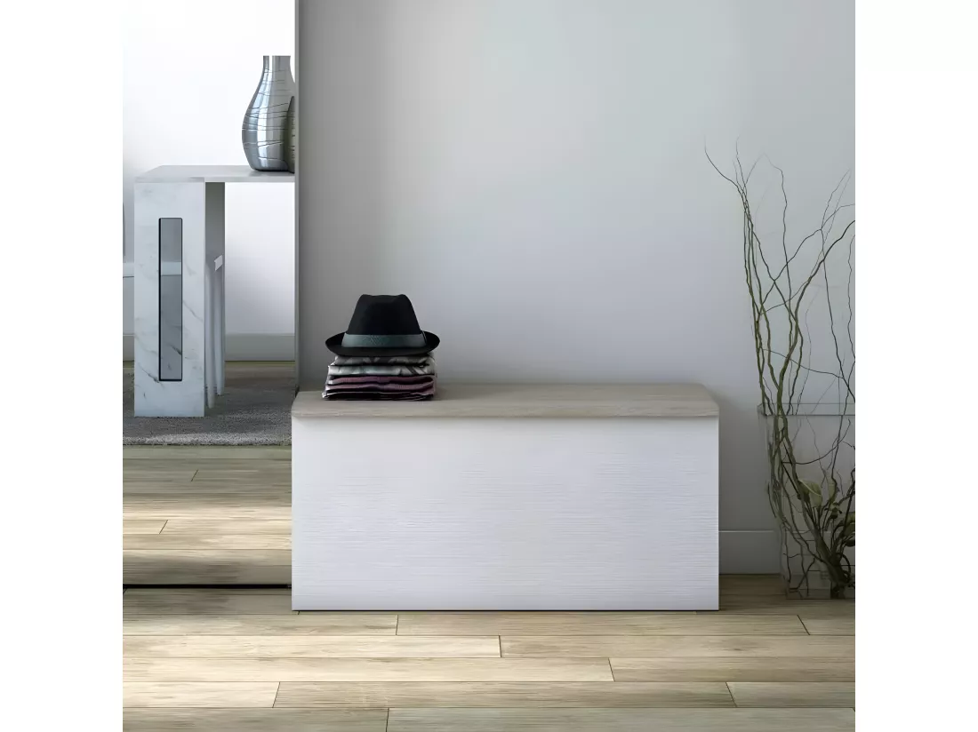 Coffre rangement banc conteneur entrée salon chambre NORA