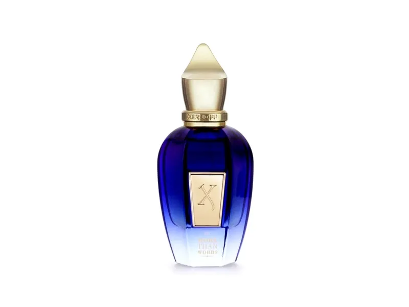 Xerjoff Join the Club More Than Words Eau De Parfum 100 ml (unisex)