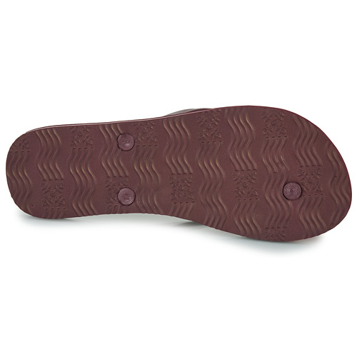 Oxbow - VITILIM - Marron / Multicolore