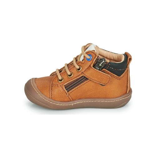 GBB - CALVO FLEX - Marron