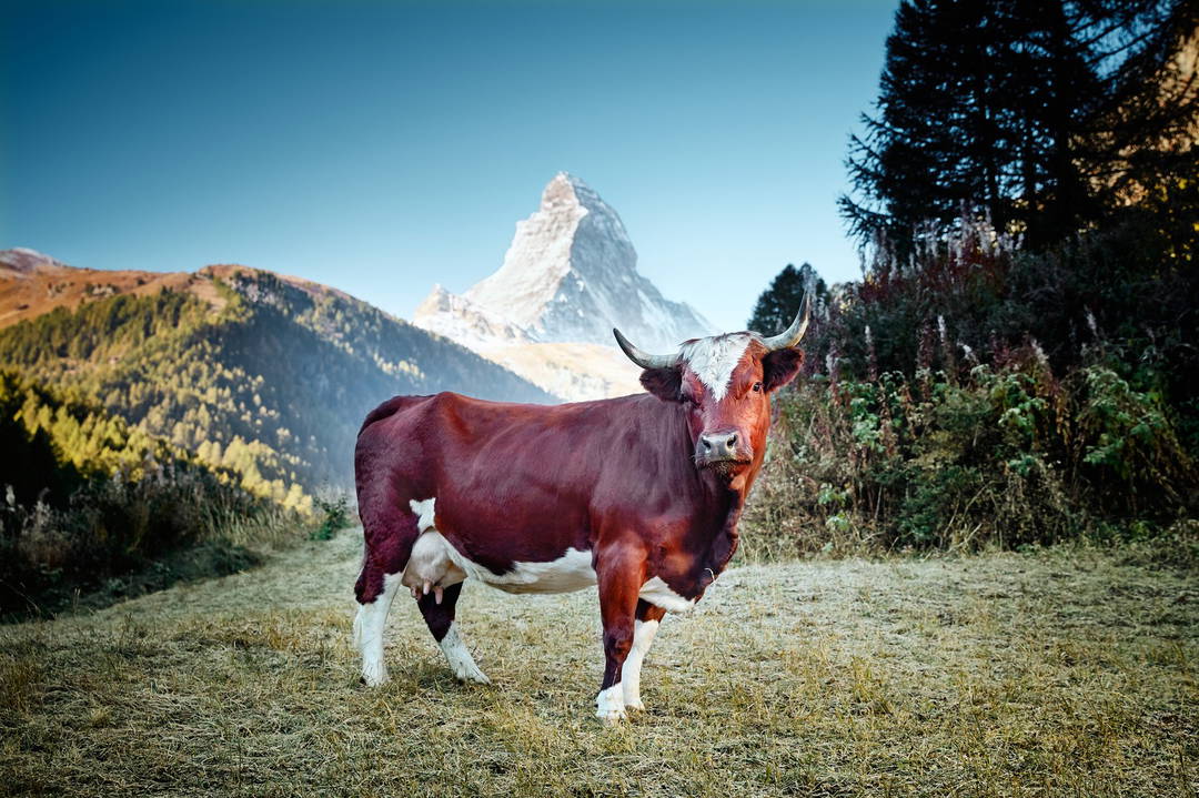 Evoléner by Ramona Waldner - Limited Edition. Edition of: 150. Signed.