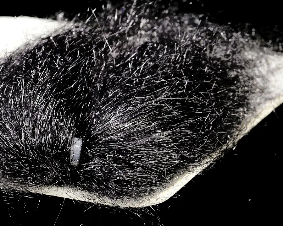 The Fly Co Sybai Ghost Hair