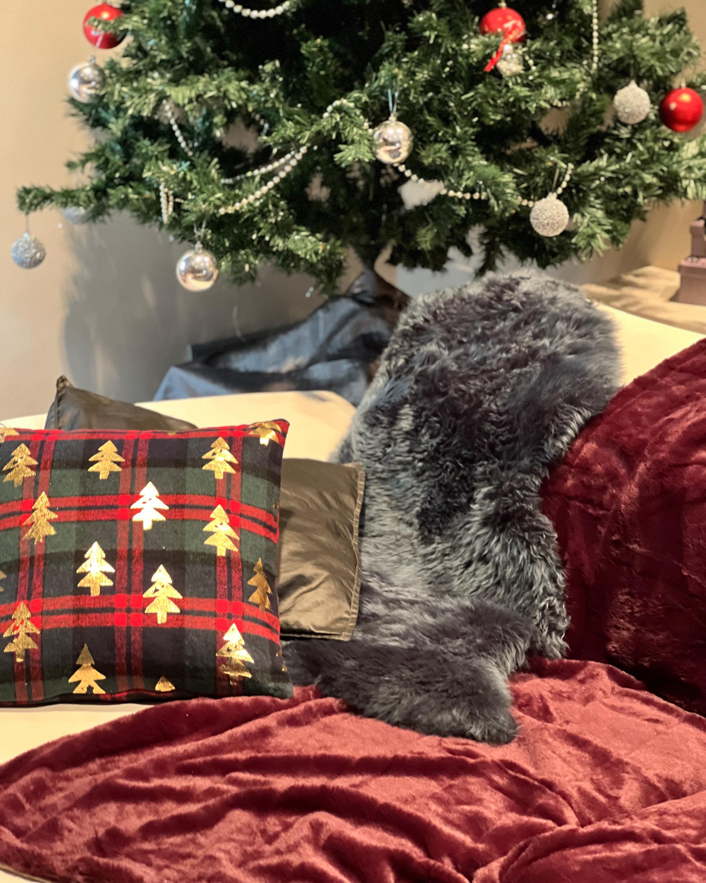 Set van 2 sierkussens CUPID 45 x 45 cm Donkergroen kerstmotief