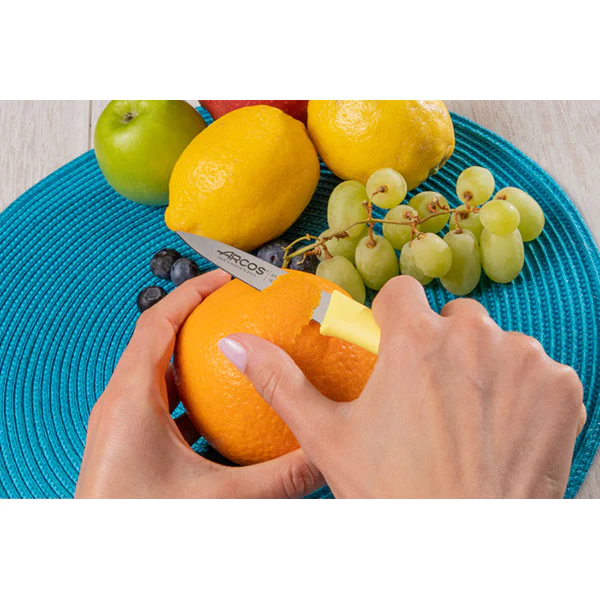 Set 3 couteaux d'office 8,5 cm coloris pastel Arcos