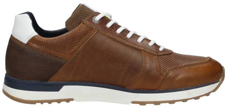 Gaastra Kevan M cognac