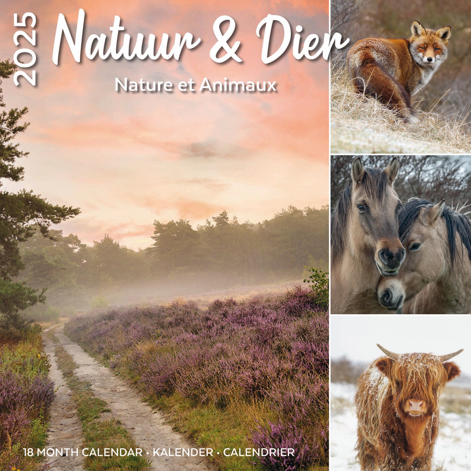 Plenty Gifts kalender natuur en dier 30 x 30 x 0,5 cm