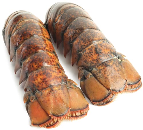 Hummer-Schwanz mit Schale, gekocht, ca. 200 g, tiefgefroren