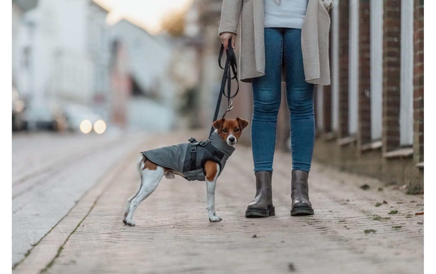 TRIXIE Hunderegenmantel »Pontis Reflect« Polyester Wattierter und vollreflektierender Hundemantel