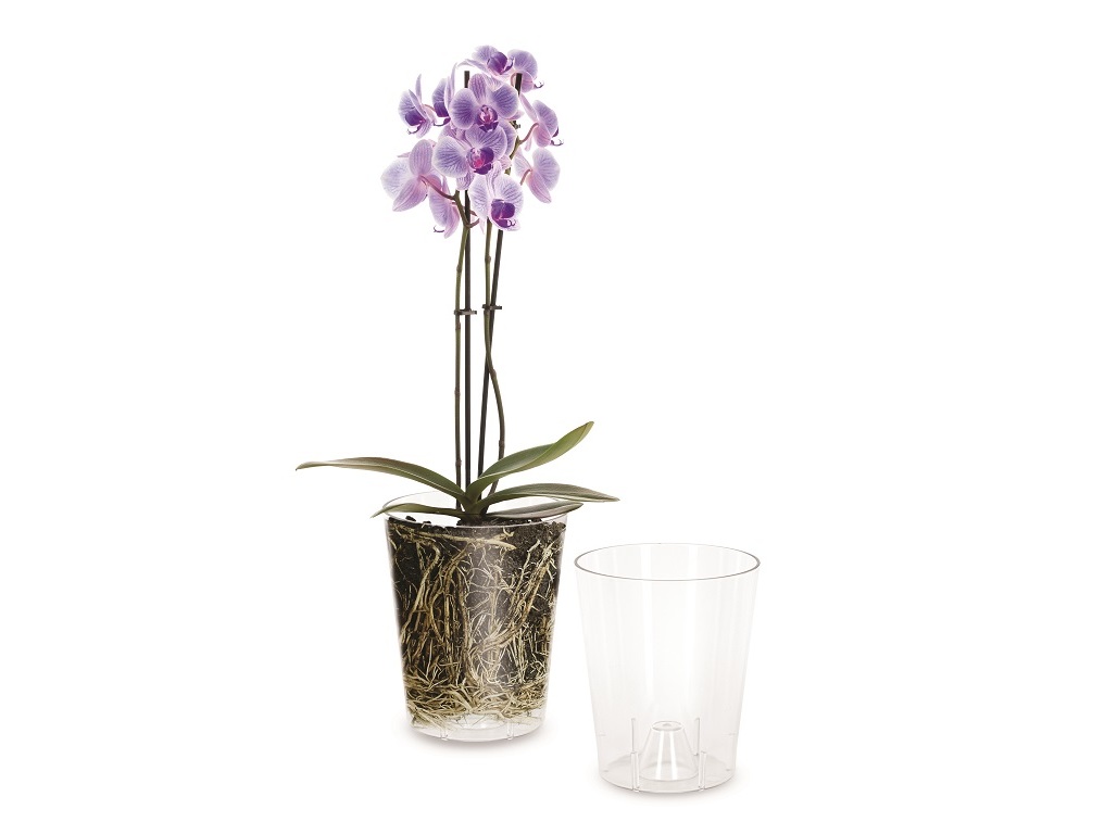 VASO PARA ORQUIDEA IN&OUT TRANSPARENTE 14X16CM