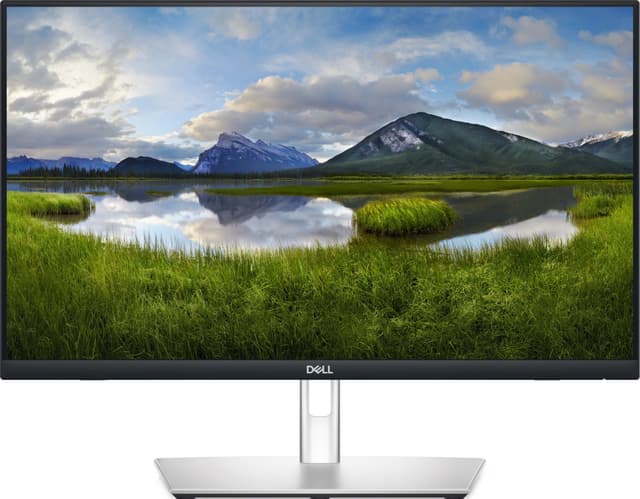 Dell P2424HT 24