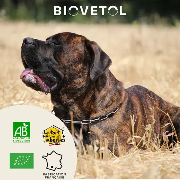 Biovetol - Poudre Régul'Transit Bio Grand Chien >10kg - 112g