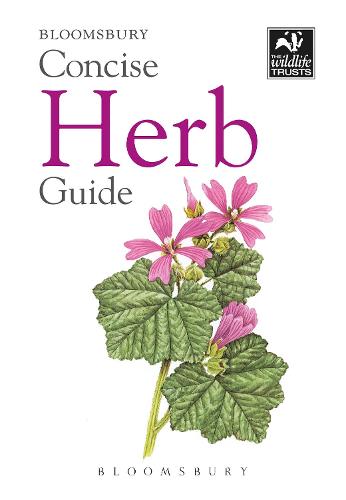 Concise Herb Guide - Concise Guides (Paperback)