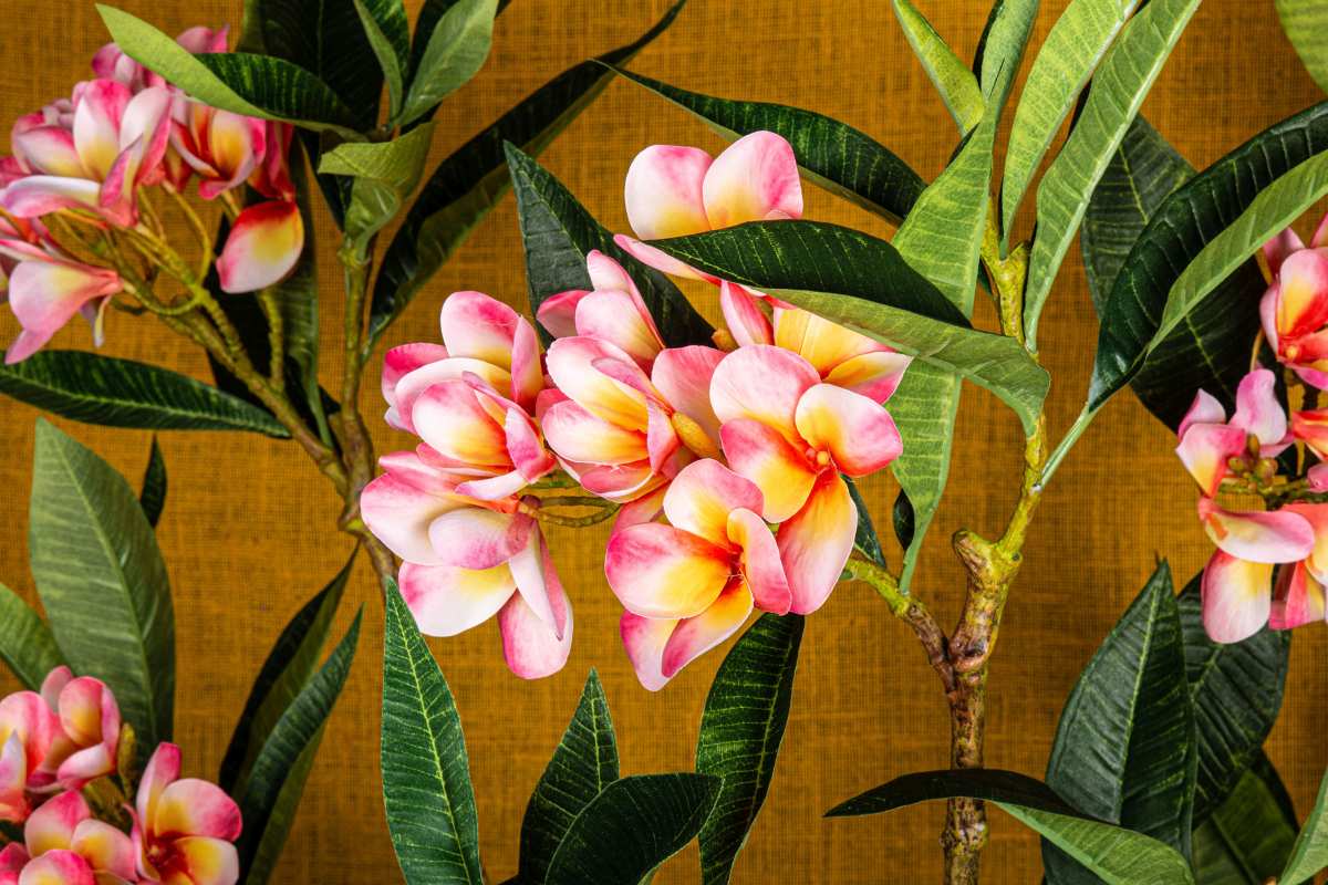 Ptmd branche artificielles plumeria - 72x25x110 cm - plastique - rose
