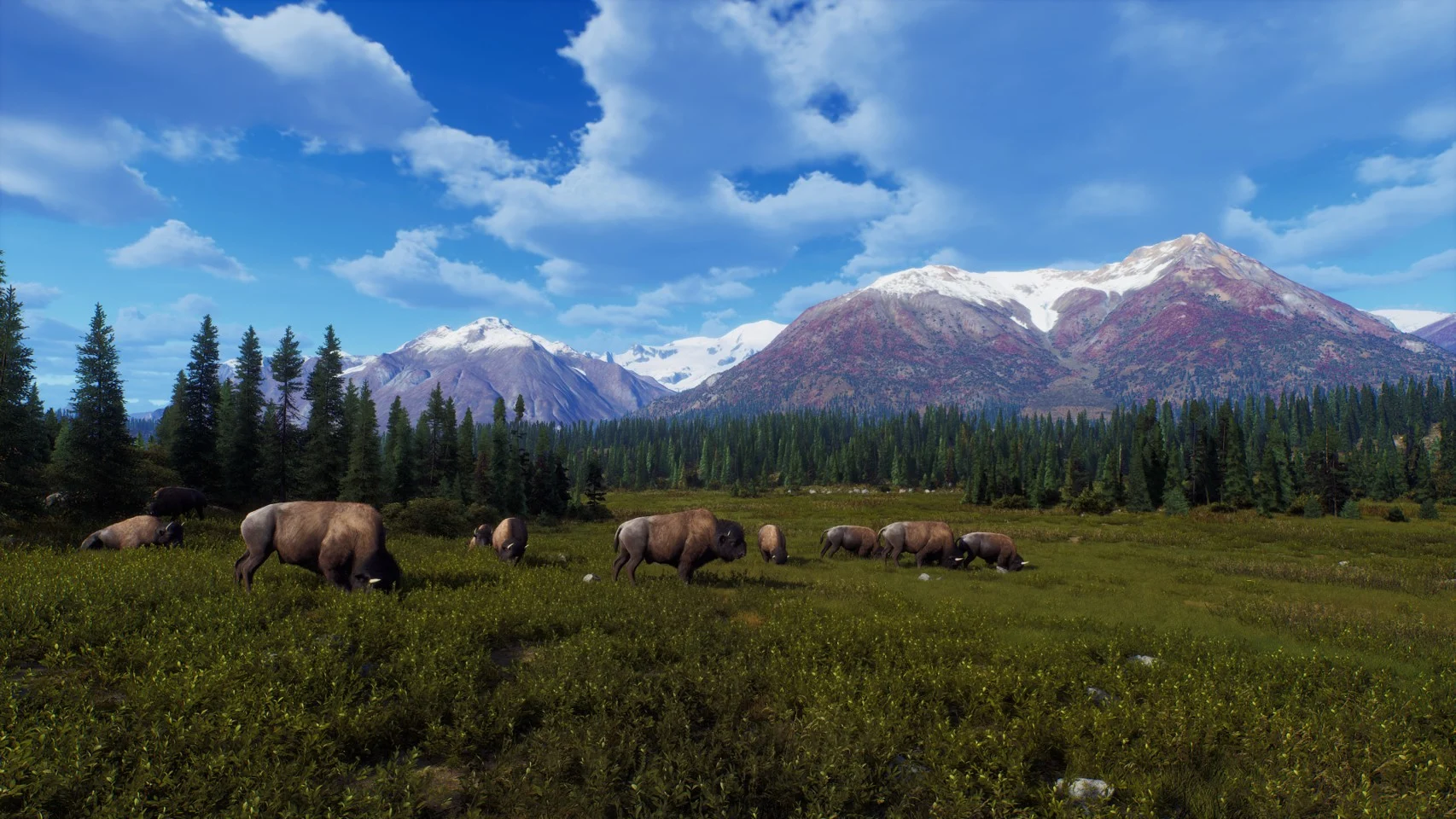 Way of the Hunter - Wild Expeditions- Xbox Series X