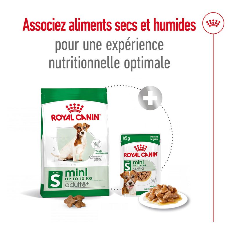 Royal Canin Mini Adult 8+ à prix discount sur bitiba.fr