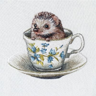 Baby Hedgehog Card