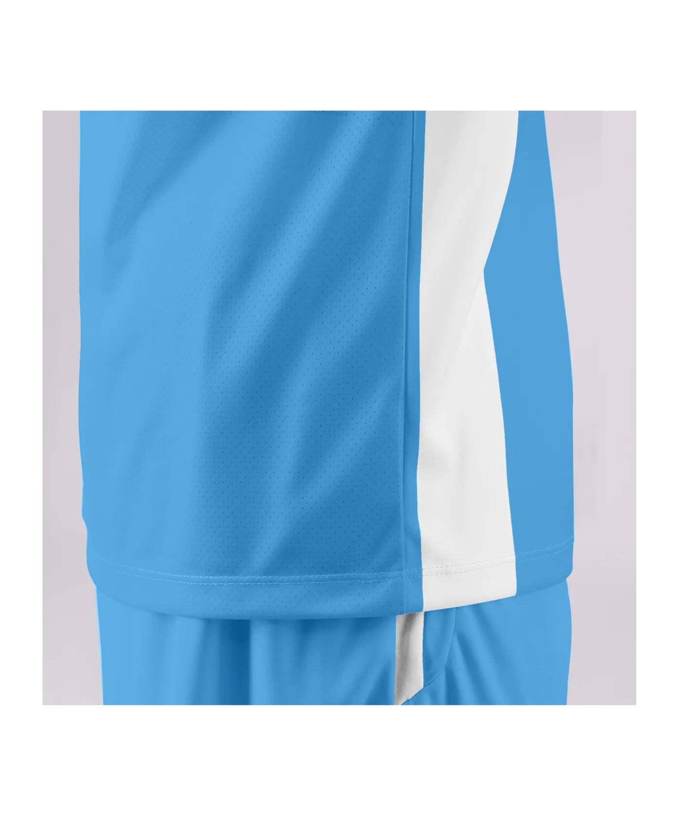 JAKO Inter Trikot Hellblau Weiss F432
