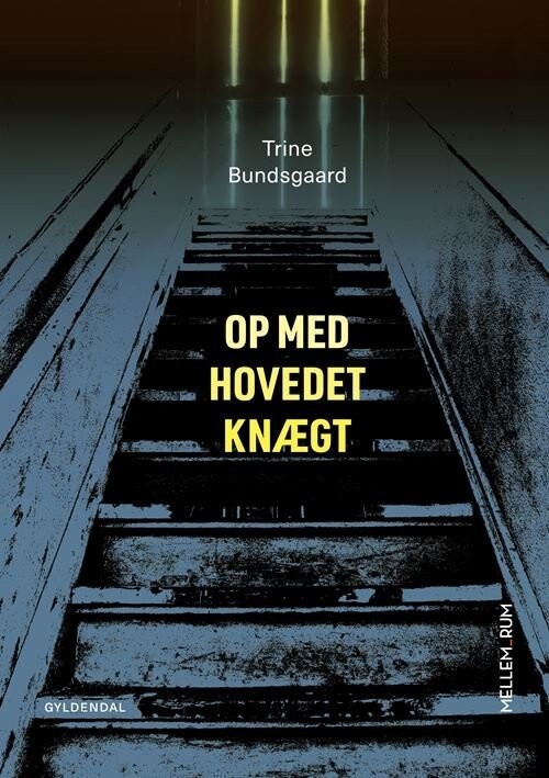 Mellem_Rum. Op Med Hovedet Knægt - Trine Bundsgaard - Bog