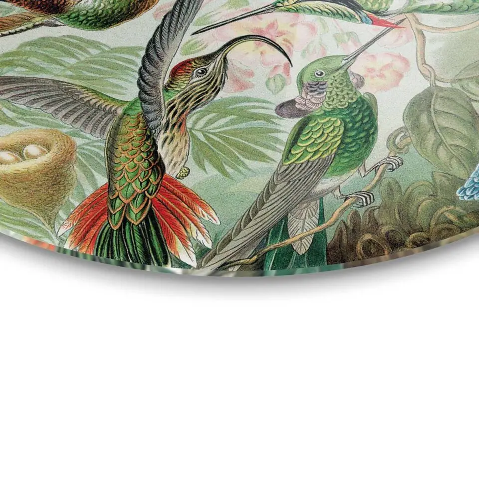 Plexiglasschilderij Hummingbirds - Ø 50cm - Groen