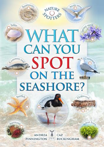 What Can You Spot on the Seashore (Paperback)